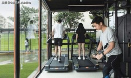 智联生活最新爆料电话,最新爆料电话背后的科技革新